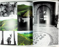 HIP WINES – BAROLO